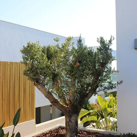 H36 Pine *